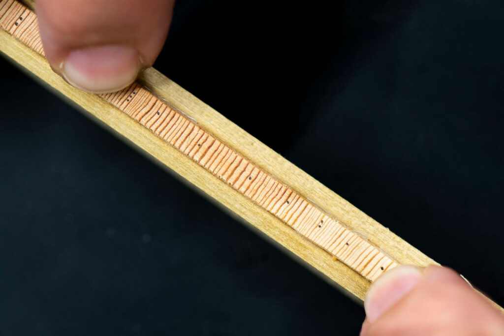 This tree ring core shows that the Colorado River Compact of 1922, which allocated water to Western states, was created in abnormally wet years, leading to overestimates of the water that would be available. PHOTO BY TED WOOD