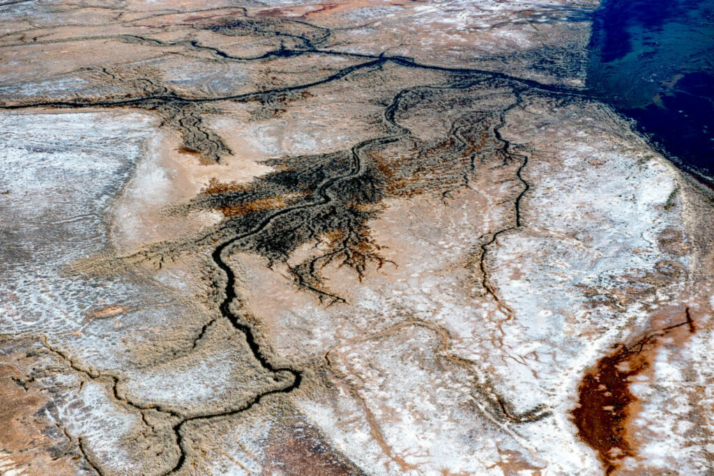 The Colorado River once flowed into the Gulf of California (upper right), but today the river’s delta is largely dried out. Without the river water and its load of nutrients, marine productivity in the Gulf has fallen by up to 95 percent. PHOTO BY TED WOOD