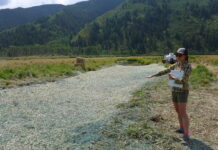 Liza Mitchell, a natural resource planner and ecologist with Pitkin County, shows off the recent work on a restoration project at a fen on North Star Nature Preserve, on Aug. 26. This fiber mat is plugging an old ditch that drained water from the wetland to the Roaring Fork River.