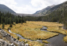 Homestake Creek flows from Homestake Reservoir near Red Cliff.