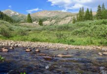 Roaring Fork headwaters