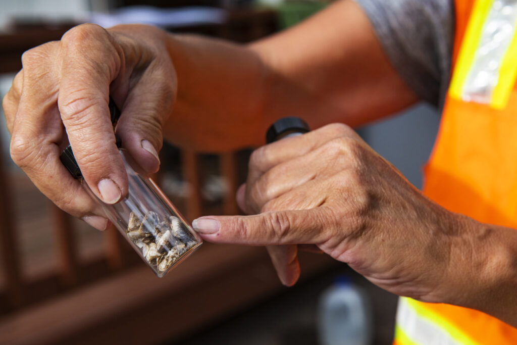 Jaime McCullah points out past samples taken from boats of invasive mussel species at the boat inspection check point at Ruedi Reservoir on Wednesday, July 22, 2020.