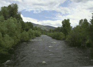 Yampa River photo