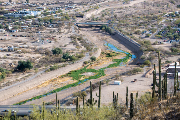 Photos: Santa Cruz River in Tucson, February 2021