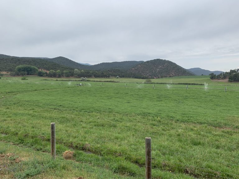Crystal River Ranch photo