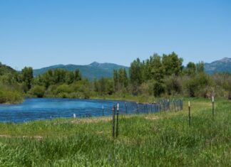 Yampa River photo