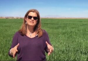 Tina Shields with the Imperial Irrigation District photo