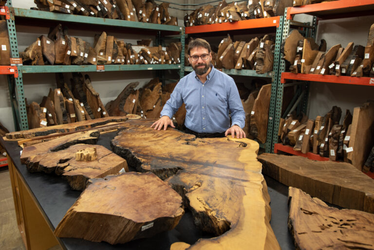 Photos: University of Arizona Laboratory of Tree-Ring Research