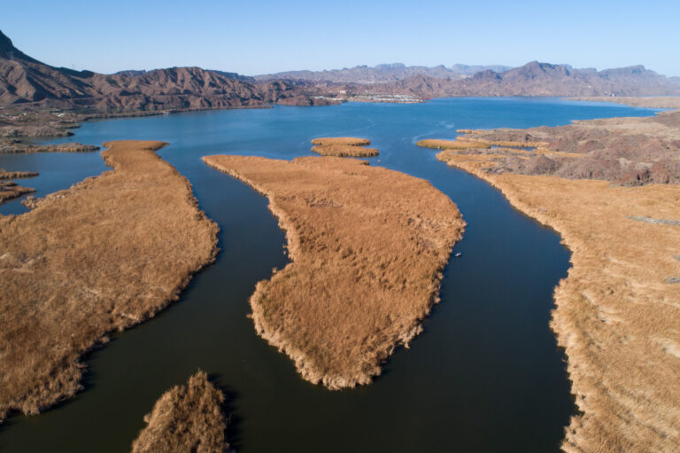 Photos: Bill Williams River National Wildlife Refuge and Parker Strip