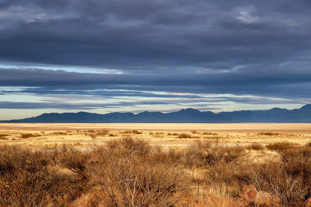A surge of groundwater pumping by thirsty livestock, pecan, and pistachio farms has caused irrigation and homeowner wells to go dry in Cochise County, in southeast Arizona. Photo © Keith Schneider / Circle of Blue