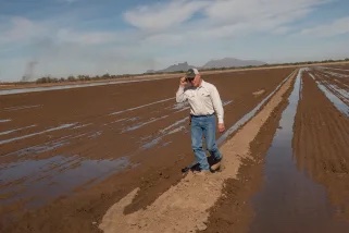 Farmer Gary Deen walks a flooded irrigated field in Eloy, Arizona