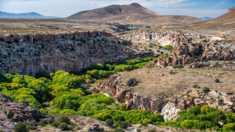Once a rich desert river, the Gila struggles to keep flowing