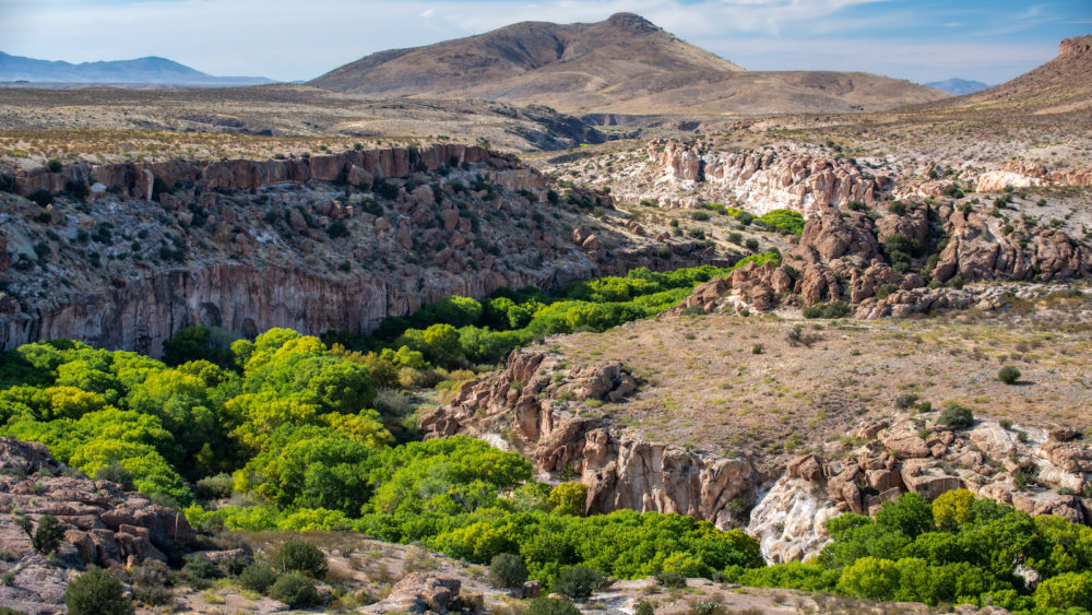 Gila Lower Box Canyon in southwestern New Mexico. TED WOOD