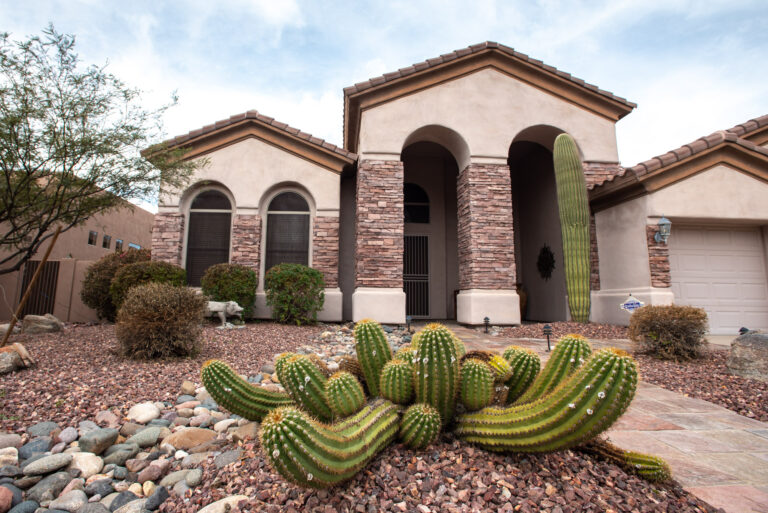 Photos: Xeriscaping in Phoenix