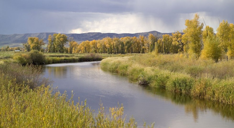 Autumn view of the wetlands and cottonwood groves in the Yampa River basin at Carpenter Ranch, located west of Steamboat Springs, Colorado. Photo courtesy of The Nature Conservancy