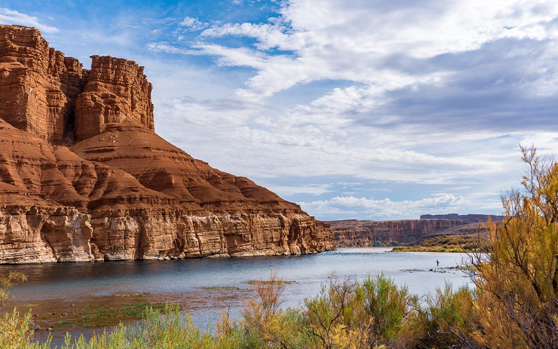Humpback Chub have lived in the Colorado River corridor for 5 million years.
