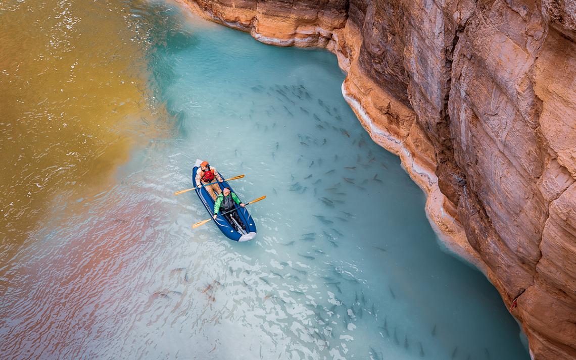 Humpback chub seek refuge in the warm and often turquoise waters of the Little Colorado River and Havasu Creek (pictured here at the Colorado River conflunce).