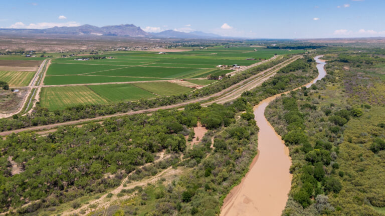 Photos and videos: Rio Grande near San Antonio, New Mexico, August 2022
